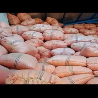جو بیجار کیلویی 90 ۶ کیسه