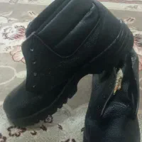 دوجفت کفش کار.نونو|کیف، کفش، کمربند|بروجرد, |دیوار