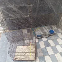 قفس پرنده