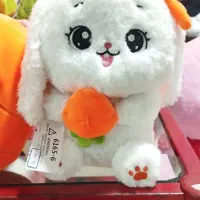 فروشگاه عروسک پولیشی آیهان|اسباببازی بچه|کردکوی, |دیوار