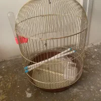 قفس پرنده