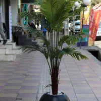 درختچه مصنوعی با کیفیت .بدون نیاز به آب و نور|گل مصنوعی|کرج, فاز ۳ گوهردشت|دیوار