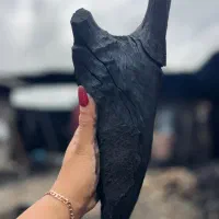 شرکت اسپهبد ذغال
