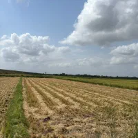 زمین کشاورزی