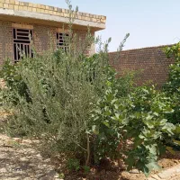 فروش توافقی منزل ۲۶۰متر شناژی صدرآباد اشکذر