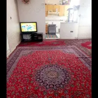 آپارتمان 50 متری تک واحدی|اجارهٔ آپارتمان|تهران, مخصوص|دیوار