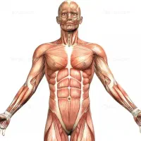 رگ گیری تخصصی تضمینی