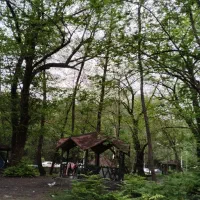 راهنمایی فکر