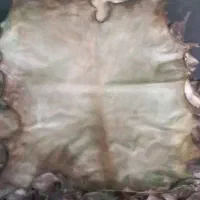 پوست دمام و تمبک و دف
