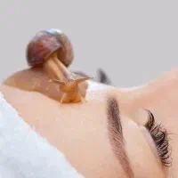 خاویار حلزون ،حلزون تراپی|خزنده|اراک, |دیوار