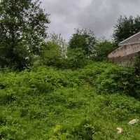 زمین225متری-بر-آسفالت-1-کیلومتری-ساحل