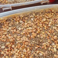 کره بادام زمینی، معجون مغزیجات|خوردنی و آشامیدنی|اهواز, باغ شیخ|دیوار