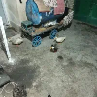 تانکر۶۰۰ لیتر و چهار چرخ آبدانان