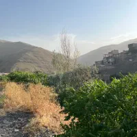 زمین فروشی در روستای خوش آب و هوای زشک|فروش زمین و ملک کلنگی|شاندیز, |دیوار