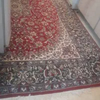انواع فرش موکت گلیم در اندازه های مختلف وفرشرکارگر|فرش|یزد, |دیوار