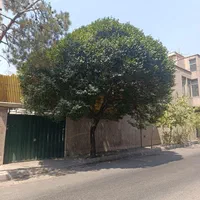 بهار شمالی / ۲۰۰ متر بر ۸ مناسب سرمایه گذاری