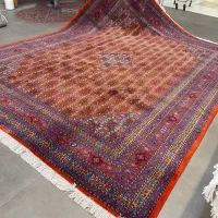 فرش دستباف (بساک)۱۲ متری ماهی خوشرنگ  اردبیل|فرش|مشکین‌دشت, |دیوار