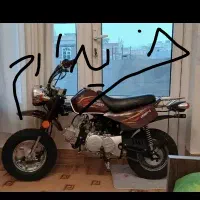 مینی موتور کویر پیشرو تکرو