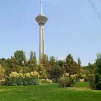 فعالیت داوطلبانه  اقاهستم