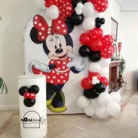 همه مدل تم تولد کودک و خردسال|اسباب‌‌بازی|تهران, پردیسان|دیوار