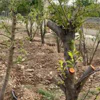 ۲۱۱مترزمین/سهیلیه/زعفرانیه/سنددار/اقساطی|فروش زمین و ملک کلنگی|رامجین, |دیوار