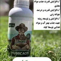 سرگرمی و فراغت|مجلات|سنندج, |دیوار