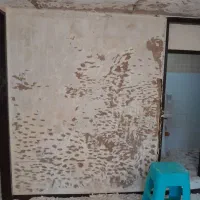 خدمات بنایی|خدمات پیشه و مهارت|کرج, کوی امامیه|دیوار