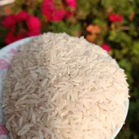 فروش برنج دونوج|خوردنی و آشامیدنی|قائم‌شهر, |دیوار