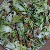 سرگرمی|خزنده|فولادشهر, بوستان خلیج فارس|دیوار