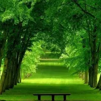 به یک بازنشسته مرد برای کار در فروشگاه نیازمندیم