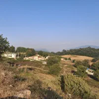 زمین فروشی در ساری،دودانگه،منطقه فریم|فروش زمین و ملک کلنگی|فریم, |دیوار