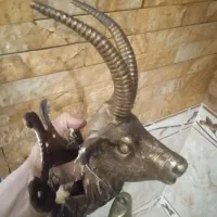 مجسمه قدیمی|کلکسیون اشیاء عتیقه|اراک, |دیوار