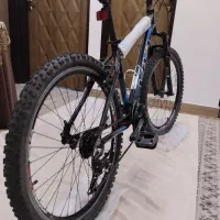 دوچرخه ویوا آلومینیومی اصل تایوان حک شده روی بدنه|دوچرخه، اسکیت، اسکوتر|رشت, منظریه|دیوار