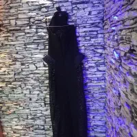 لباس دخترانه زنانه نو تن مانکن بوده زیر قیمت|لباس|قم, پردیسان|دیوار