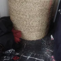 عسلیِ حصیری