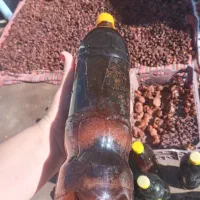 شیره انگور خالص مشگین شهر