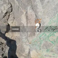 کارشناسی معدن - اکتشاف معدن