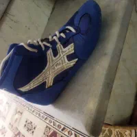 کفش کشتی در حد نو و تمیز|کیف، کفش، کمربند|سبزوار, شرق کال جنوبی (شمس آبادی)|دیوار