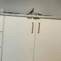 کابینت فلزی آشپزخانه|مصالح و تجهیزات ساختمان|سرپل ذهاب, |دیوار