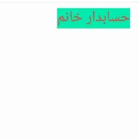 حسابدار خانم باسابقه