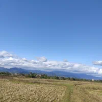 مزرعه ده تاسی هزار متر،مناسب کاشت کیوی|فروش زمین و ملک کلنگی|تالش, طولارود|دیوار