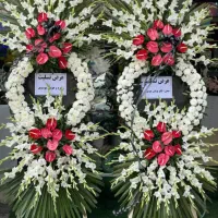 تاج گل|گل و گیاه طبیعی|تفرش, |دیوار