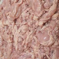 بچه فیله مرغ|خوردنی و آشامیدنی|تهران, جنتآباد مرکزی|دیوار