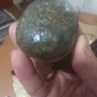فسیل حیوانات ابلیس قورباغه وماهی فروشی