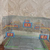 قفس مهره دار قناری و سهره|لوازم جانبی حیوانات|اهواز, کوی باهنر|دیوار