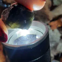 ابسیدین طبیعی و معدنی