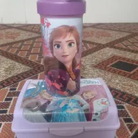دو عدد ظرف غذا همراه بطری