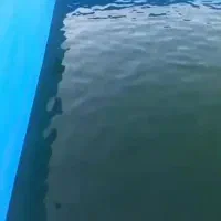 استخر سازی صفرتا صد آبندی شده با ضمانت
