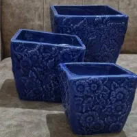 گلدون|گل و گیاه طبیعی|قم, قلعه یزدیها|دیوار