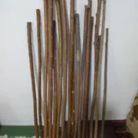 چوب دستی|ابزارآلات|نوبران, |دیوار